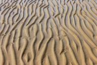 sand-sea-beach-nature-ocean-460499.jpg