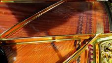 piano-strings-strings-piano-music-108453.jpg