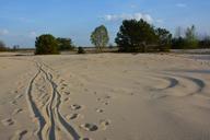 sand-way-dune-traces-739901.jpg