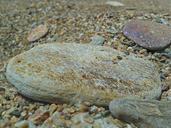 pebble-stones-nature-rock-beach-140091.jpg