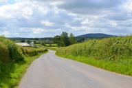 road-landscape-asphalt-nature-away-536462.jpg