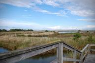 marsh-saline-water-island-of-oleron-908651.jpg