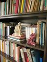 books-book-bound-library-bookshelf-264512.jpg