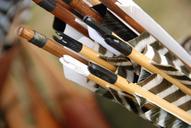 archery-sport-arrow-bow-847895.jpg