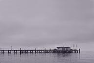 boardwalk-jetty-water-web-pier-462877.jpg