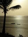 sunrise-kenya-africa-sun-palm-1029068.jpg