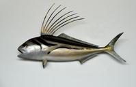 rooster-fish-mounted-taxidermy-1620131.jpg