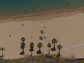 sand-beach-beach-palm-trees-406449.jpg