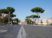 road-street-avenue-trees-landscape-1024771.jpg