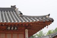 roof-tile-palaces-korean-1245841.jpg