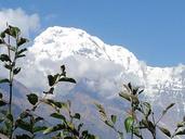 nepal-tracking-annapurna-211402.jpg