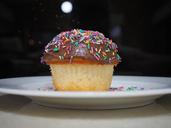 cupcake-sprinkles-party-1342958.jpg