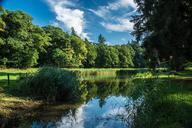 pond-forest-reflection-tranquility-290313.jpg