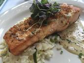 salmon-seafood-fish-food-fresh-1452273.jpg