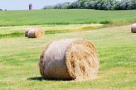 straw-bales-straw-meadow-field-hay-356328.jpg