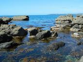 ocean-sea-beach-rock-pools-nature-316355.jpg