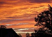 afterglow-herrenchiemsee-trees-barn-535006.jpg