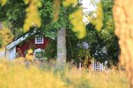 Red_Home_Behind_Trees.jpg