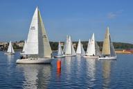 sailing-boats-sailing-race-sweden-1037709.jpg