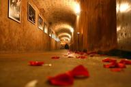 cellar-tunnel-rose-marriage-rosa-1228659.jpg