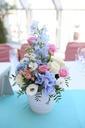 flowers-decor-hydrangea-706852.jpg