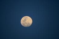 full-moon-moon-round-orb-sky-224585.jpg