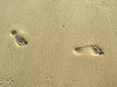 feet-print-footprint-silhouette-535988.jpg