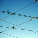 upper-lines-power-lines-wires-340653.jpg