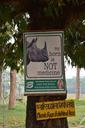 nepal-chitwan-nature-rhino-787735.jpg