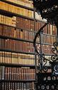 books-library-read-antiquariat-614711.jpg