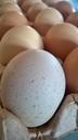 egg-shell-protein-brown-990764.jpg