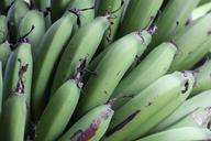 banana-green-fruit-nature-615119.jpg