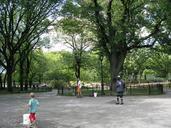 central-park-artist-nyc-123408.jpg