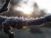 ice-crystals-winter-road-tree-54812.jpg