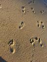 sand-footprints-mar-beach-607274.jpg