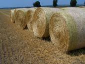 straw-bales-harvested-wheat-field-893802.jpg