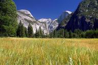 Yosemite-National-Park-California.jpg