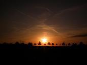 landscape-trees-nature-sky-sunset-645052.jpg