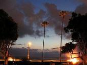 Ocean beach in sunset palm trees.jpg