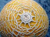 power-melon-fruit-sun-form-361834.jpg