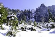 cold-december-forest-frost-frozen-1122693.jpg