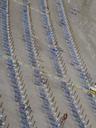 beach-umbrellas-numana-summer-sea-508653.jpg