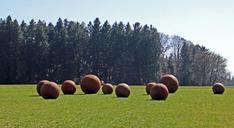 ball-balls-metal-art-nature-301790.jpg