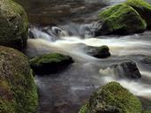 river-moss-stones-499622.jpg