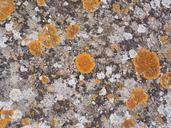 stone-weave-orange-1522037.jpg