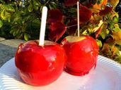 candy-apple-harvest-fall-festival-1021779.jpg