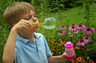 bubbles-childhood-fun-1208445.jpg