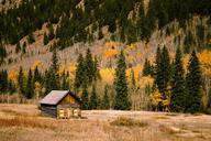 cabin-log-cabin-woods-forest-1208195.jpg