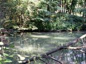 vienna-park-pond-water-217632.jpg