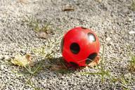 ball-red-shiny-round-sphere-game-1155069.jpg